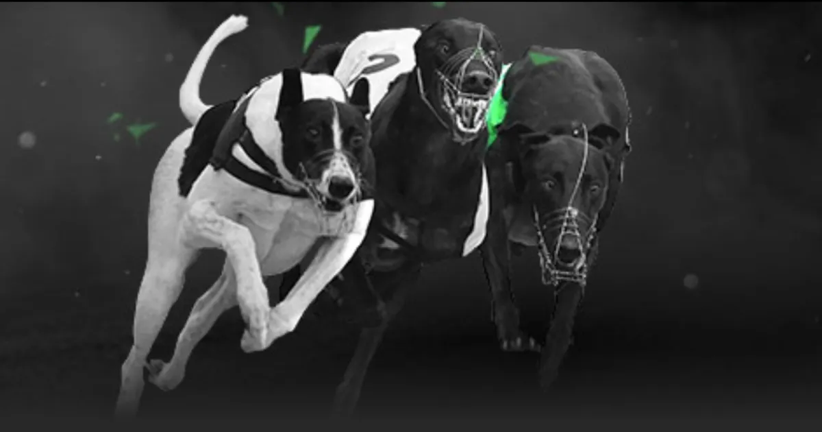 泰山官方确,王彤右肩关,节脱位,百家乐平台,百家乐平台入口,百家乐平台平台,百家乐平台官方