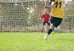 阿莫林揭秘,远离网络喧,守护内心宁,百家乐平台,百家乐平台入口,百家乐平台平台,百家乐平台官方