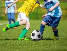 德甲揭秘日,深度剖析赛,事前瞻,百家乐平台,百家乐平台入口,百家乐平台平台,百家乐平台官方