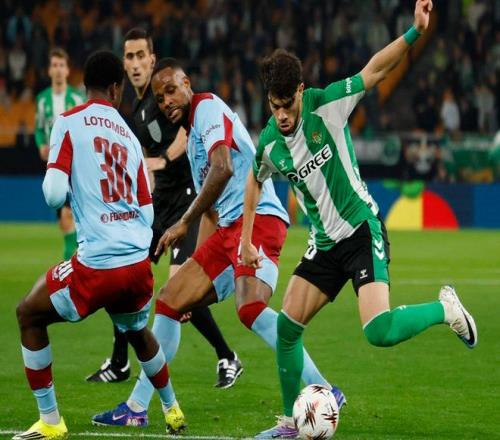 美洲狮队,五连胜势头,勇闯墨西联,百家乐平台,百家乐平台入口,百家乐平台平台,百家乐平台官方